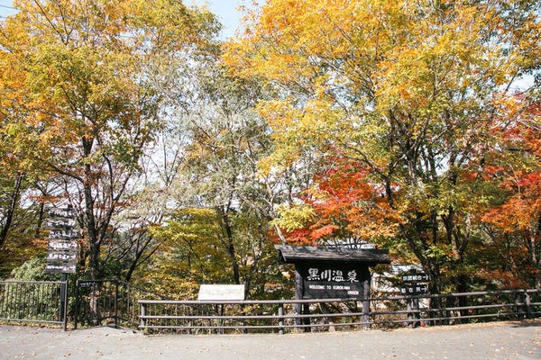 【新大阪・新神戸・岡山・広島駅発】 おひとり様歓迎!秋彩の阿蘇・高千穂・黒川温泉・湯布院と九州高原ルート3日間3